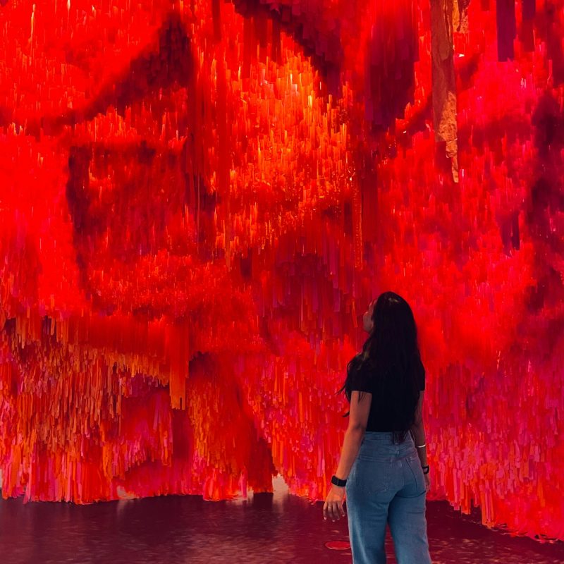 22CA5C2D-0A31-4173-9687-4ECF7A46F940